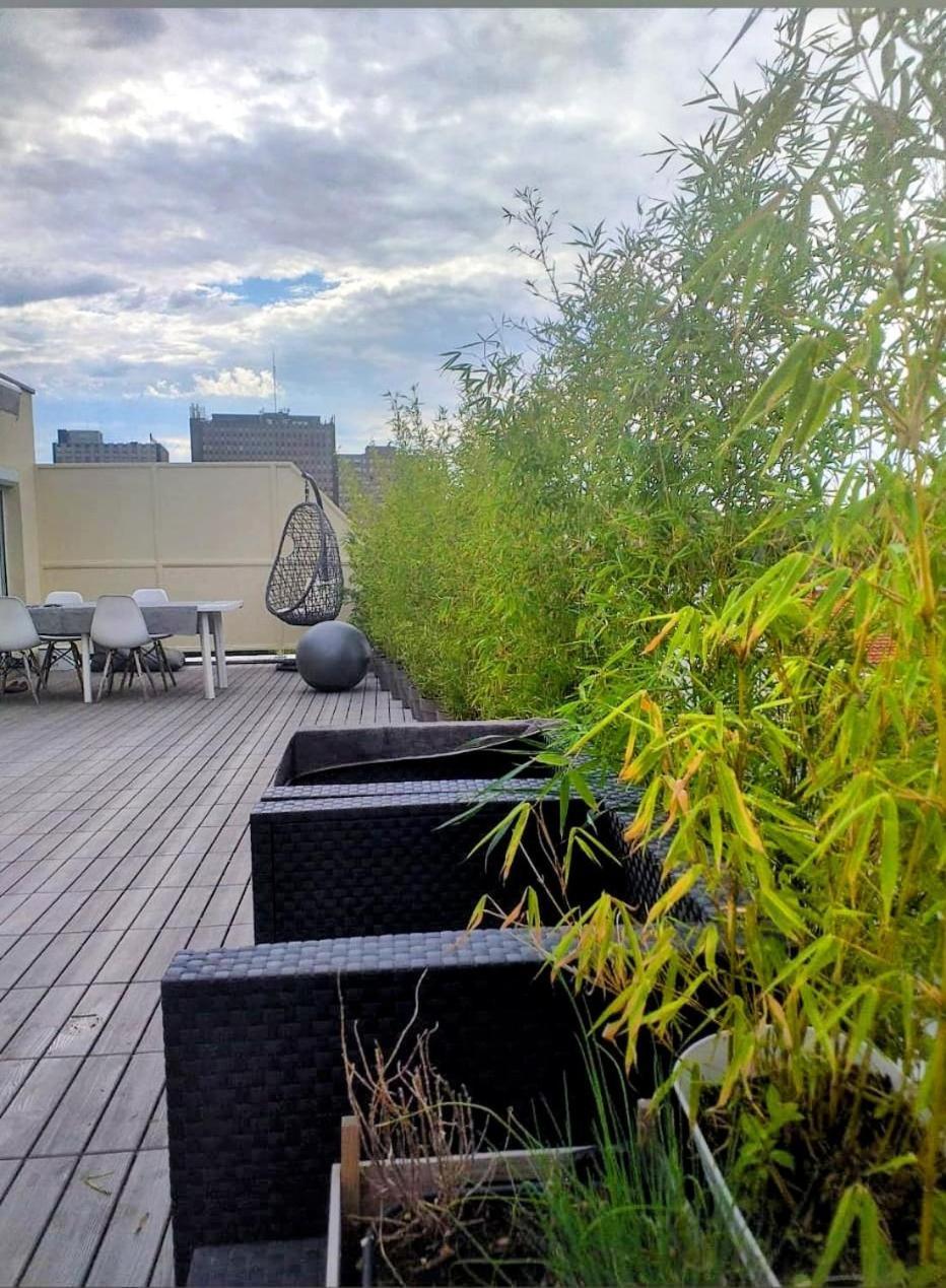 Appartement Attique Strasbourg Exteriör bild
