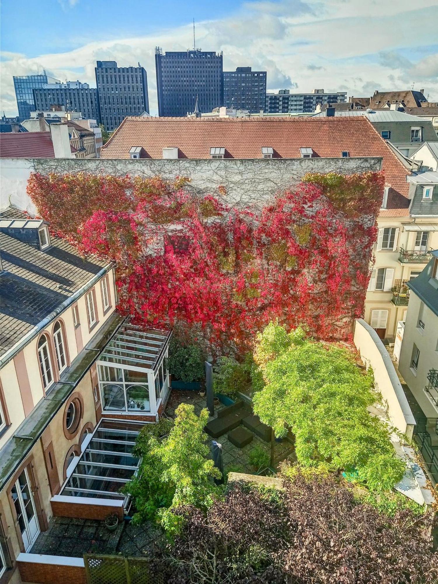 Appartement Attique Strasbourg Exteriör bild