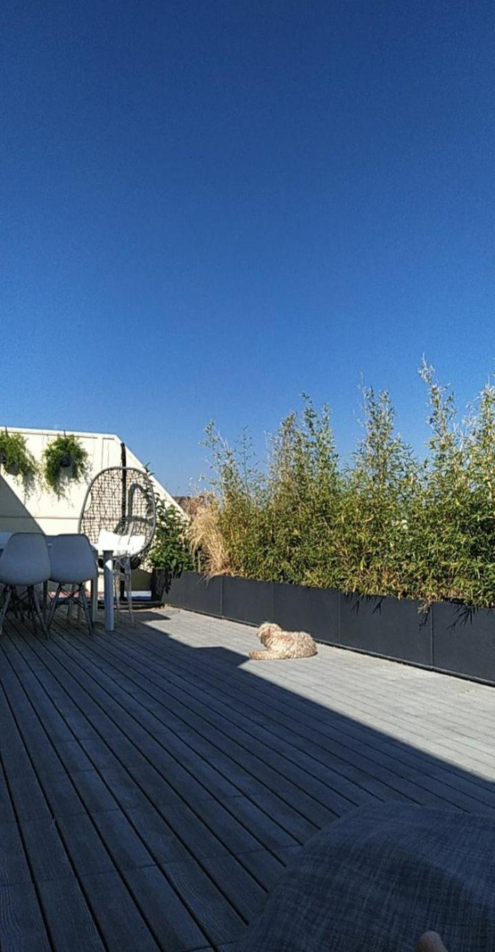 Appartement Attique Strasbourg Exteriör bild